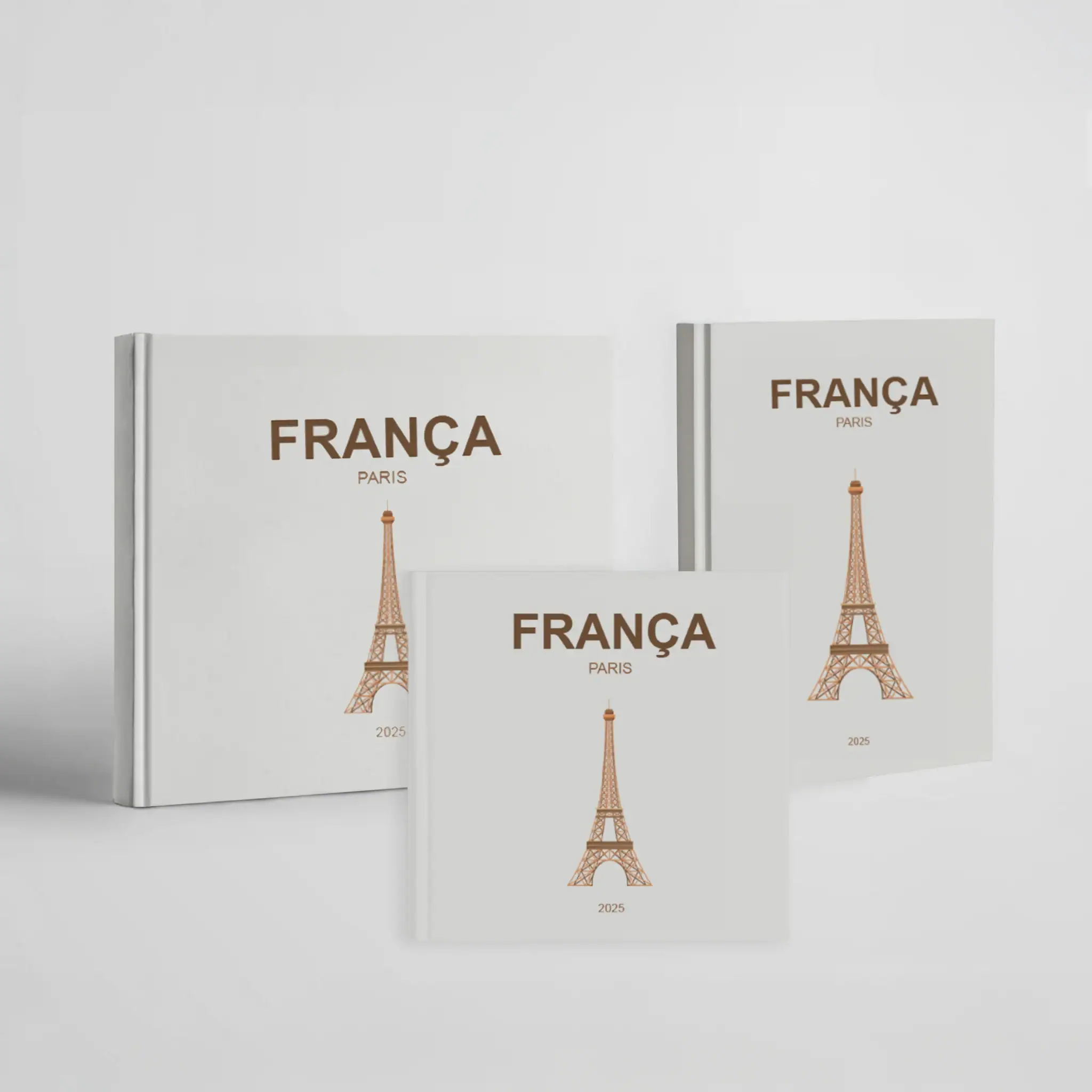 Biblioteca com livros de aprendizados sobre França, Paris, moda, cultura e viagens.