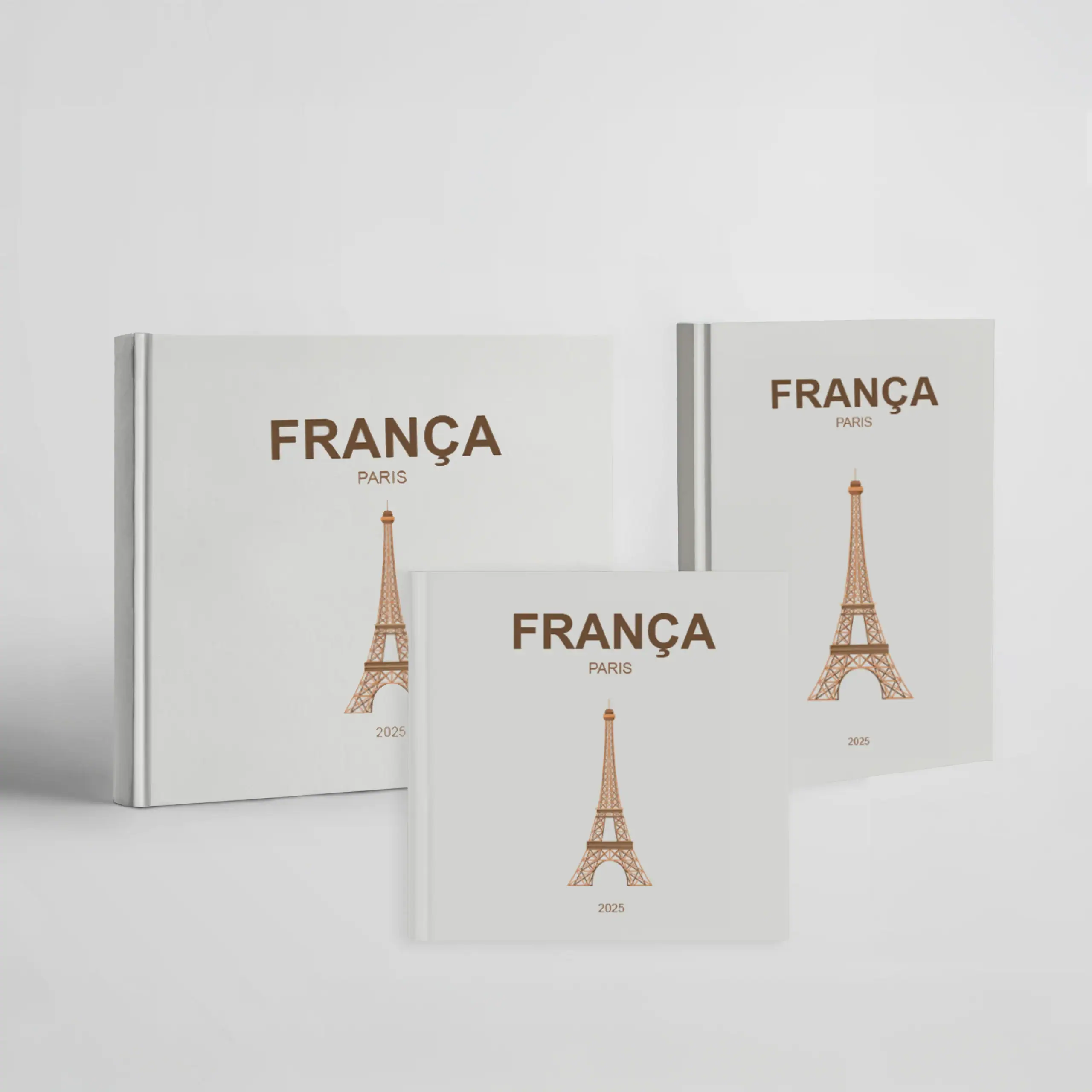 Biblioteca com livros de aprendizados sobre França, Paris, moda, cultura e viagens.